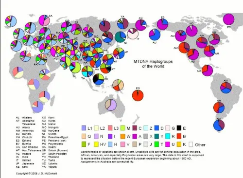 MtDNA groups of the world
