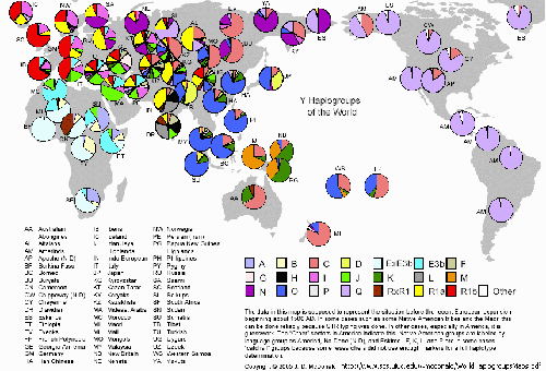Y Haplogroups of the world 